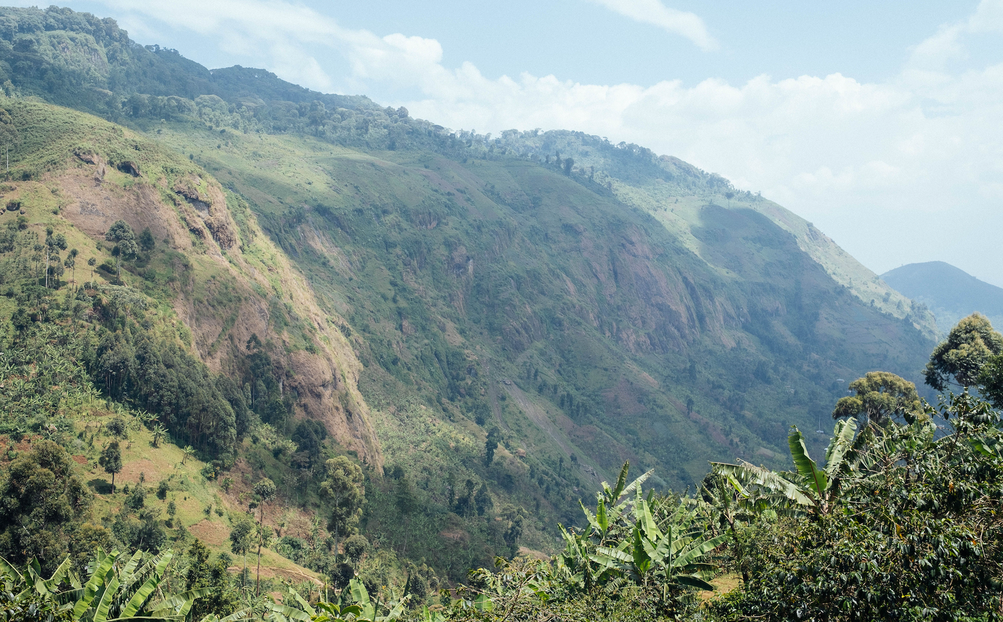 Uganda, Sipi Falls Zukuka Bora Coffee CO, Espresso Roast