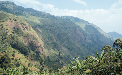 Uganda, Sipi Falls Zukuka Bora Coffee CO,  Espresso Roast