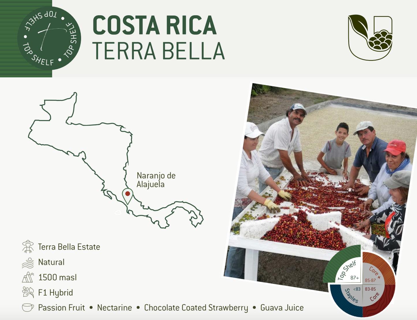 Costa Rica, Terra Bella Filter Roast