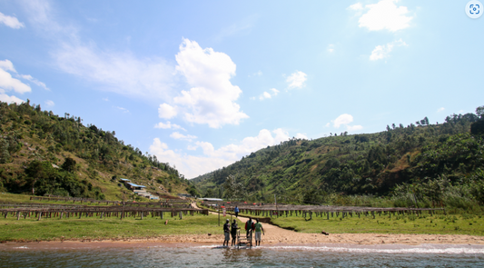 Rwanda Gishamwana Island