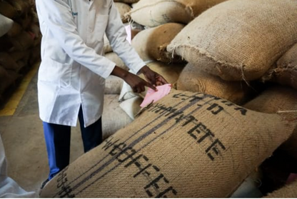 Kenya Riara Estate - Filter Roast